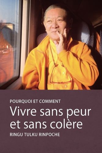Cover image for Vivre sans peur et sans colere