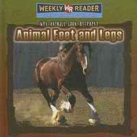 Cover image for Animal Feet and Legs