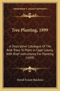 Cover image for Tree Planting, 1899: A Descriptive Catalogue of the Best Trees to Plant in Cape Colony, with Brief Instructions for Planting (1899)