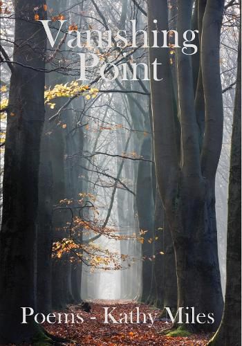 Cover image for Vanishing Point