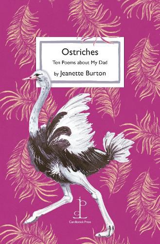 Cover image for Ostriches