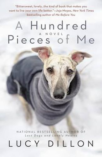 Cover image for A Hundred Pieces of Me