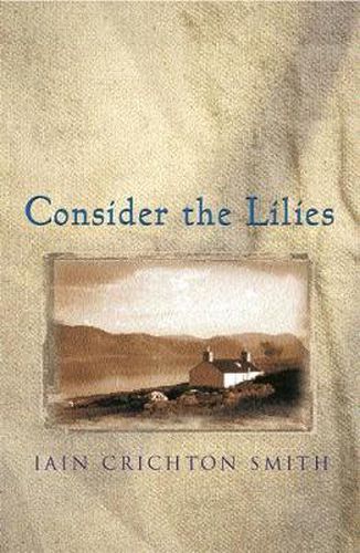 Cover image for Consider the Lilies