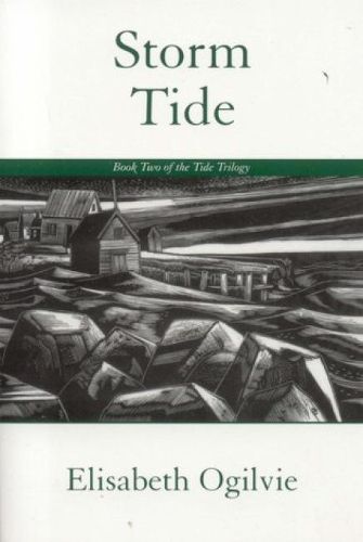 Cover image for Storm Tide