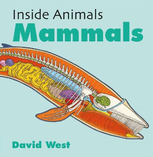 Cover image for Inside Animals: Mammals