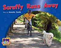 Cover image for Scruffy Runs Away