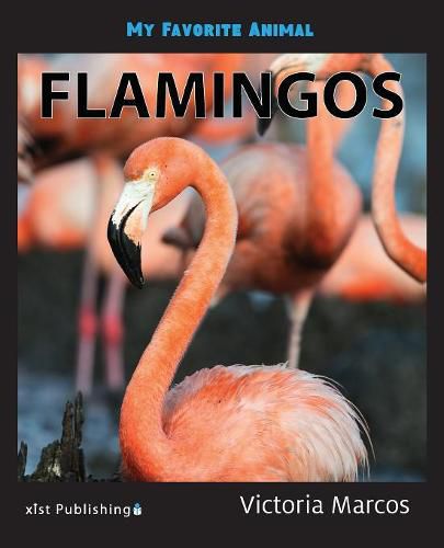 Cover image for My Favorite Animal: Flamingos