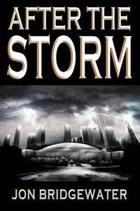 Cover image for After the Storm: A David Storm Mystery