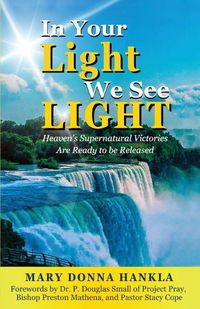 Cover image for In Your Light We See LIGHT