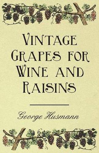 Cover image for Vintage Grapes for Wine and Raisins