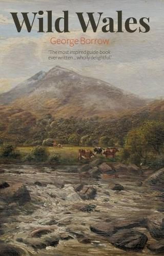 Cover image for Wild Wales