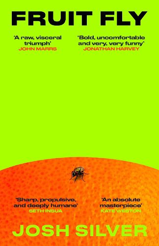 Cover image for Fruit Fly
