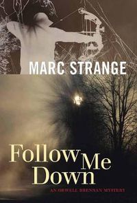 Cover image for Follow Me Down