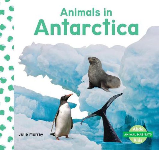 Cover image for Animals in Antarctica