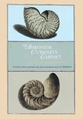 Cover image for The Ambonese Curiosity Cabinet