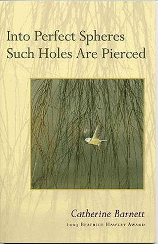 Cover image for Into Perfect Spheres Such Holes Are Pierced