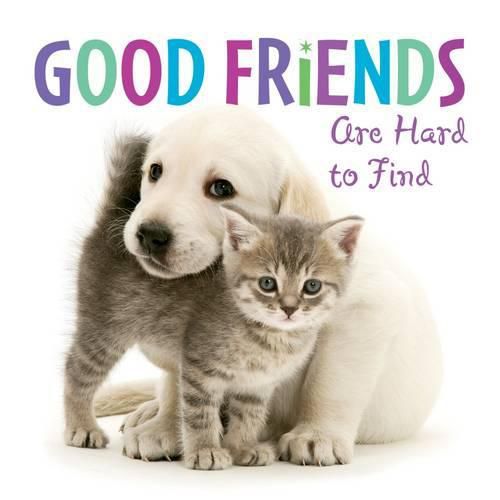 Cover image for Good Friends are Hard to Find