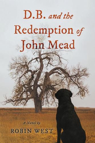 Cover image for D.B. and the Redemption of John Mead