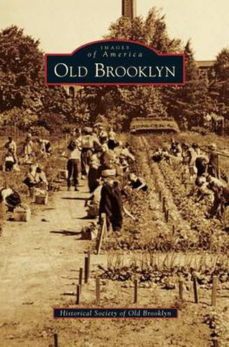 Cover image for Old Brooklyn