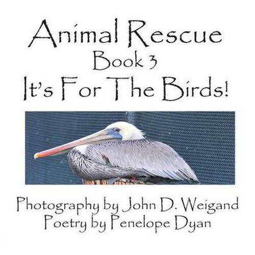 Cover image for Animal Rescue, Book 3, It's For The Birds!