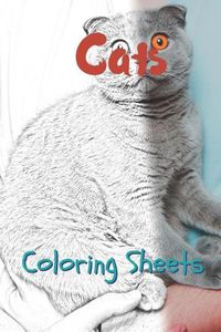 Cover image for Cat Coloring Sheets