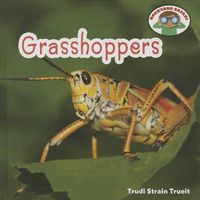 Cover image for Grasshoppers
