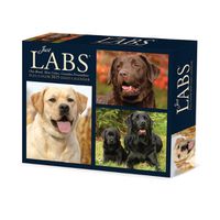 Cover image for Labs 2025 6.2 X 5.4 Box Calendar