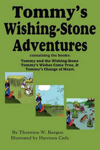 Cover image for Tommy's Wishing-Stone Adventures--The Wishing Stone, Wishes Come True, Change of Heart