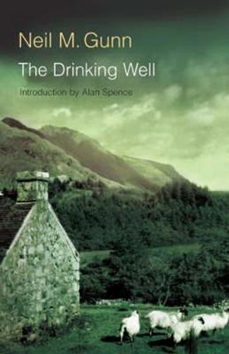 Cover image for The Drinking Well