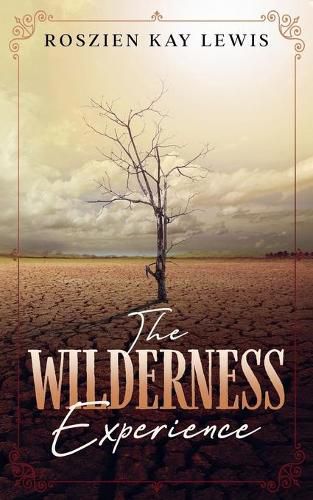 Cover image for The Wilderness Experience