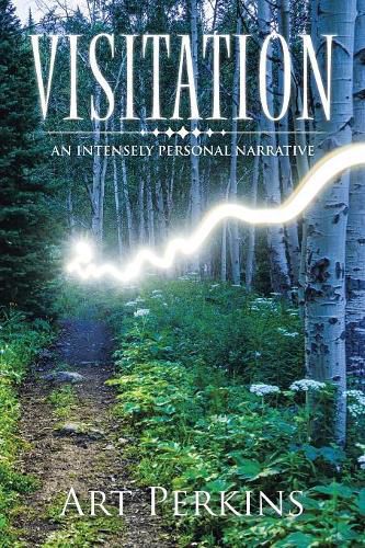 Cover image for Visitation: An Intensely Personal Narrative