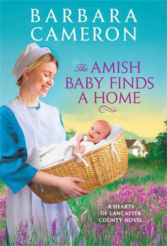 Cover image for The Amish Baby Finds a Home