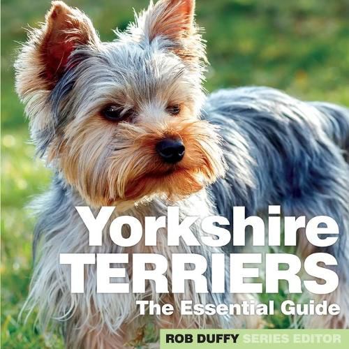 Cover image for Yorkshire Terriers: The Essential Guide