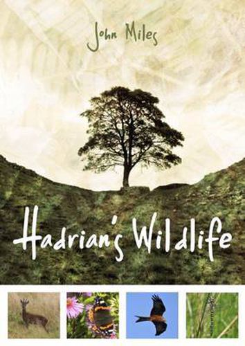 Cover image for Hadrian's Wildlife