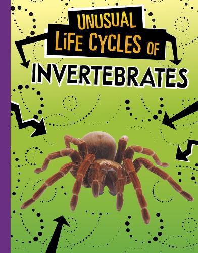 Cover image for Unusual Life Cycles of Invertebrates