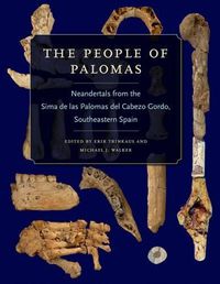 Cover image for The People of Palomas: Neandertals from the Sima de las Palomas del Cabezo Gordo, Southeastern Spain