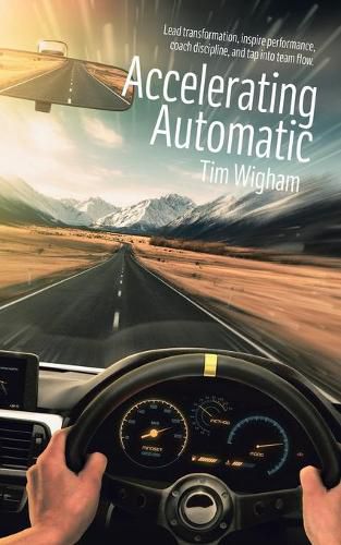 Cover image for Accelerating Automatic: Lead Transformation, Inspire Performance, Coach Discipline, and Tap into Team Flow