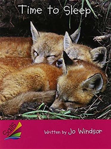 Cover image for Time to Sleep, Satellite: Leveled Reader