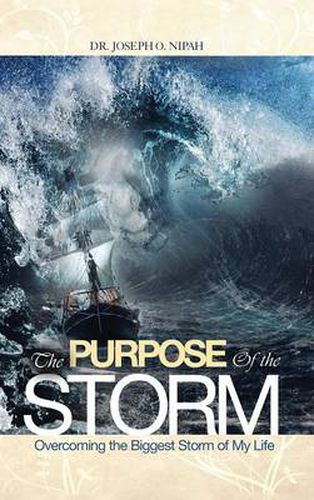 Cover image for The Purpose of the Storm: Overcoming the Biggest Storm of My Life