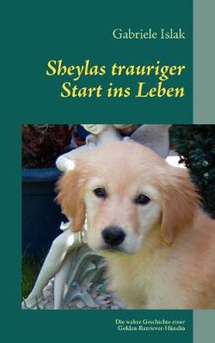 Cover image for Sheylas trauriger Start ins Leben: Die wahre Geschichte uber eine Golden Retriever Hundin