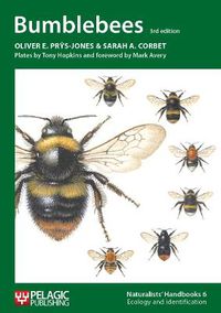 Cover image for Bumblebees