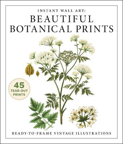 Cover image for Instant Wall Art: Beautiful Botanical Prints