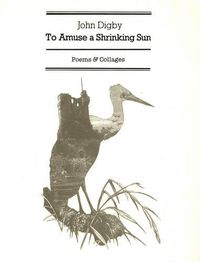 Cover image for To Amuse a Shrinking Sun