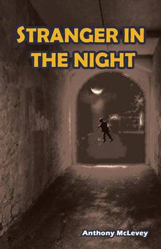 Cover image for Stranger in the Night
