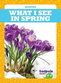 Cover image for What I See in Spring