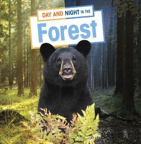 Cover image for Day and Night in the Forest