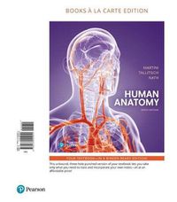 Cover image for Human Anatomy