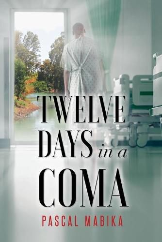 Cover image for Twelve Days in a Coma From the Jordan River to His Bedside