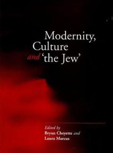 Cover image for Modernity, Culture and the Jew