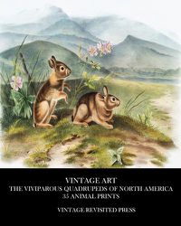 Cover image for Vintage Art: The Viviparous Quadrupeds of North America 35 Animal Prints